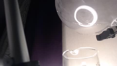 Snapshot of amoremeoww chatting on February 13, 3:50 am miss unforgettable online show from February 13, 3:50 am