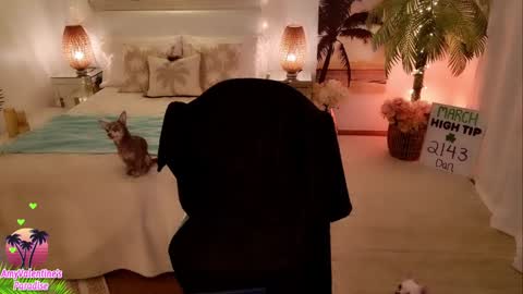  AmyValentine  online show from March 20, 5:56 am