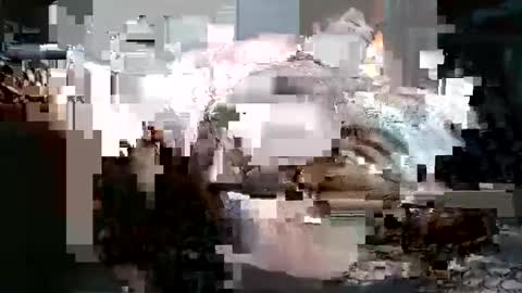 analnina25 online show from September 30, 8:36 am