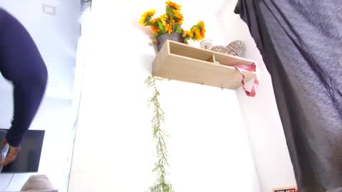 ana  online show from March 27, 1:45 pm