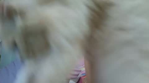 Ana Winters online show from October 16, 1:27 am