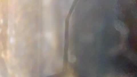 andrewo42601 online show from September 17, 9:46 am