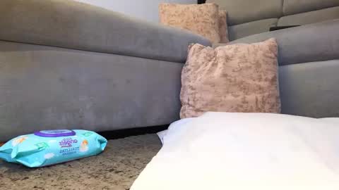 Anell online show from November 24, 4:00 am