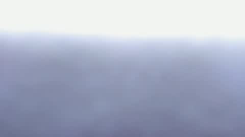  Angel  online show from November 13, 2:31 pm