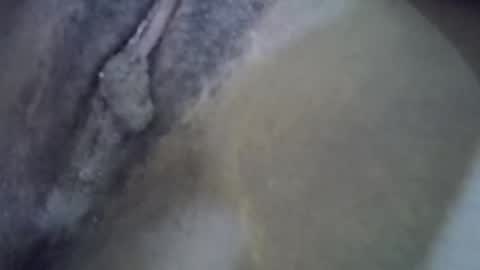 angel_mia5 online show from November 20, 10:40 pm