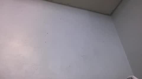 Animeboygirls online show from November 14, 5:20 am