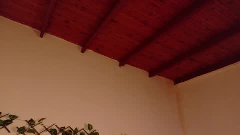 annie_barozzi online show from January 15, 2:15 pm