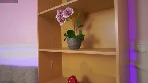 Ana online show from November 7, 11:56 am