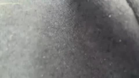 anonomousloser online show from February 9, 3:37 pm