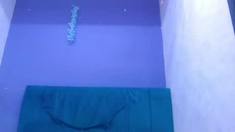 anyeladonemar online show from August 3, 12:44 pm