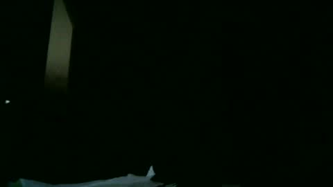 Snapshot of apixaba chatting on March 9, 8:21 pm furry bear online show from March 9, 8:21 pm