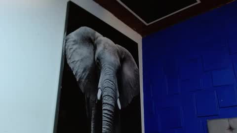 Apolo online show from February 11, 8:48 am