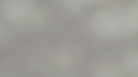 April online show from January 15, 4:57 am