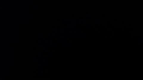 ARIANNA  online show from March 27, 2:06 am