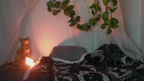 ari online show from October 25, 3:40 am