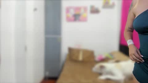 Snapshot of ariell_rose1 chatting on February 22, 5:23 am Stephany  online show from February 22, 5:23 am