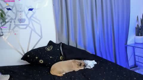 Aron Santoro online show from January 12, 4:31 am