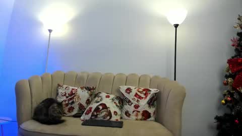   online show from December 15, 2:18 am