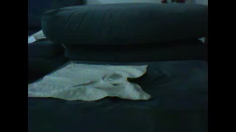 natra online show from January 9, 6:47 pm