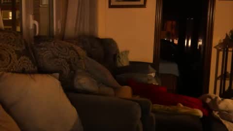 Troy online show from January 15, 6:08 pm