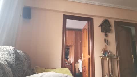 Troy online show from February 28, 12:20 pm