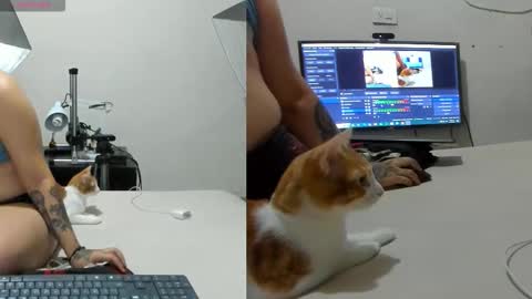 Snapshot of ashley_rossez7 chatting on September 14, 6:42 pm Ashley rossez7 online show from September 14, 6:42 pm