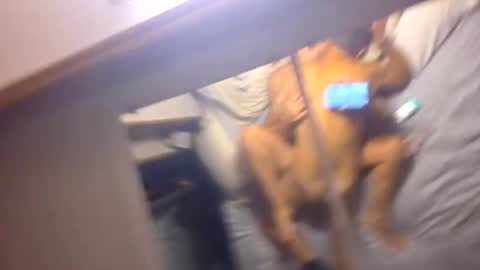 ashleydoyle0311 online show from October 5, 6:11 am