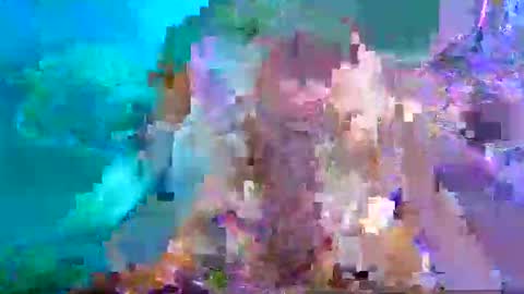 Aspy online show from January 26, 10:46 pm