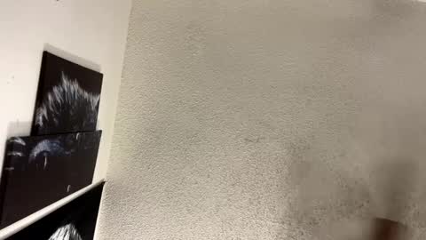 Lily  Orion online show from February 5, 1:37 am