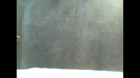 b1gg9inch online show from January 20, 11:02 am