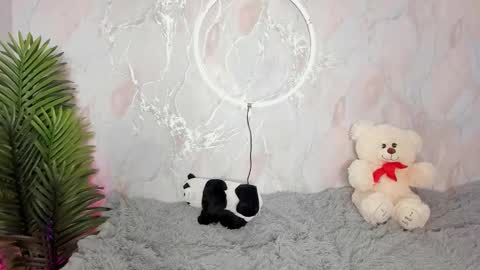 Sophia online show from November 19, 4:45 am