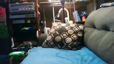 Snapshot of badcady0 chatting on October 16, 3:17 am badcady0 online show from October 16, 3:17 am