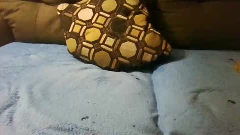 Snapshot of badcady0 chatting on September 28, 6:00 am badcady0 online show from September 28, 6:00 am