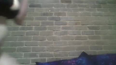 Chaterlain online show from February 13, 10:23 am