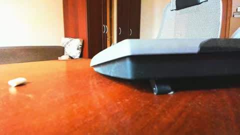 Snapshot of banana_skinny_boy chatting on February 6, 9:43 am BananaBoy online show from February 6, 9:43 am