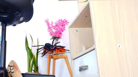 Barbara online show from October 11, 1:49 pm