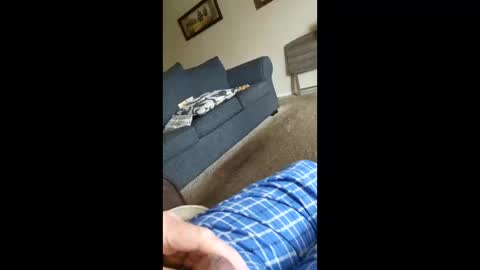 barbitall online show from December 17, 2:35 pm