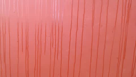 bayonette_black online show from December 1, 7:34 pm