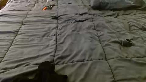 bbc69donna online show from November 23, 6:00 am