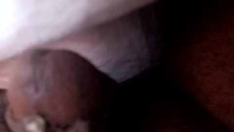 bcfalcon69 online show from July 2, 5:45 am