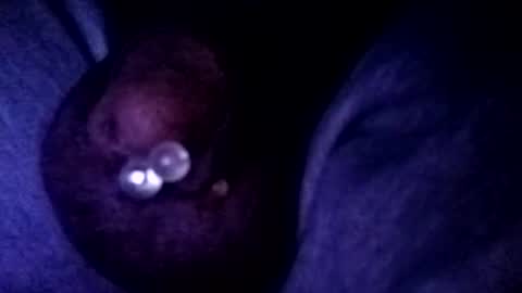 bcfalcon69 online show from July 27, 2:53 am
