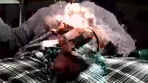 BDSM SWITCH CUM online show from January 8, 2:12 pm