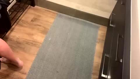 bdsm_toyboy online show from January 10, 8:09 am