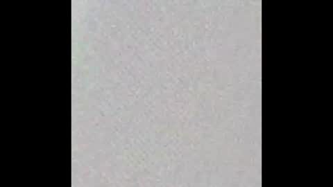 Bearvixen online show from January 9, 4:23 pm