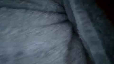 beard_papa online show from December 18, 5:36 am