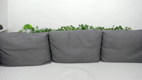 Juli online show from March 22, 8:40 am