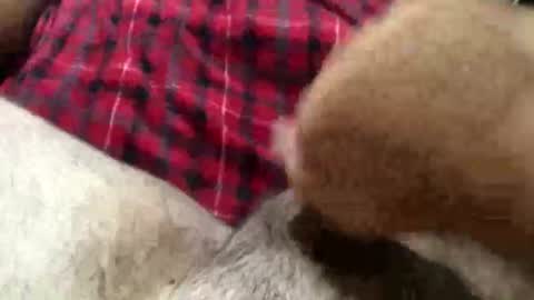 beaverwatcher online show from July 18, 7:27 pm