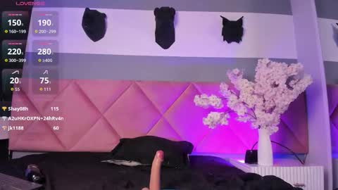 Bella online show from November 9, 2:09 pm