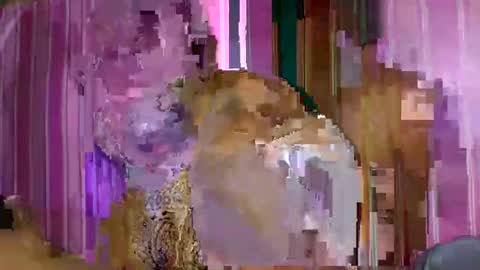 bellemiahXx online show from December 5, 5:43 am