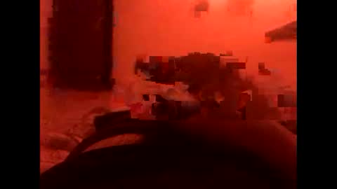 bellf0rd online show from November 3, 7:42 am